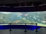 carrentalstop.gr Creta Aquarium  carrentalstop.jpg
